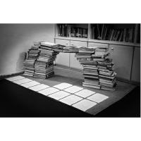 Naslovna podoba: Borga Kantürk, Bridge