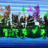 AVANTI GRAFIKA! petič