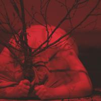 Lučka Centa: ved'ma