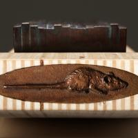 Mirko Bratuša: Praznik za oči