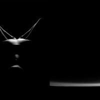 Nataša Segulin, Maja Šivec: Oda življenju