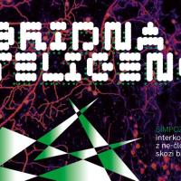 Hibridna inteligenca: interkognicija z ne-človeškim drugim skozi biokomputacijo