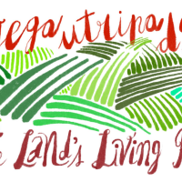 Cikel: Iz živega utripa dežele