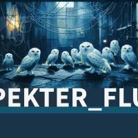 300 000 V.K. in STANGLICZKY-ČADEŽ-BATISTA: 