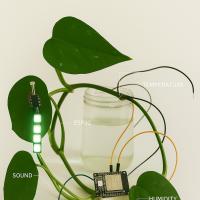  Monika Pocrnjić: Epipremnum Aureum Machina Transcendens