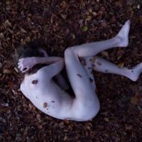 Bass Jansson: Introspekcija