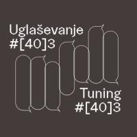 UGLAŠEVANJE #(40)3