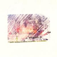 Špela Ambrož: Vijolice