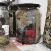 Kaja Podgoršek: Kveder