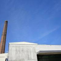 Lela B. Njatin: 73 km od Kočevja