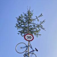 Lucija Rosc: Vozi počasi