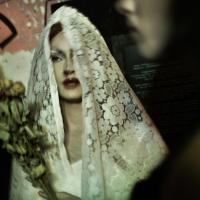 Simon Chang: Lutke 'z doline