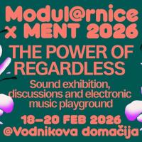 Sara Pinheiro: Regardless Goes East